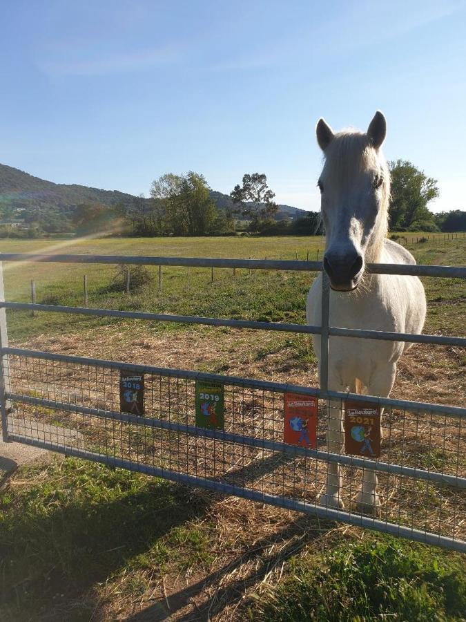 Ferme De Chiuni Villa Cargèse Eksteriør bilde