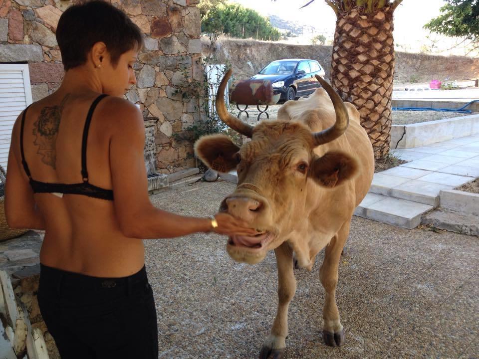 Ferme De Chiuni Villa Cargèse Eksteriør bilde