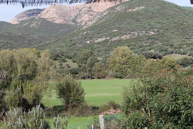 Ferme De Chiuni Villa Cargèse Rom bilde