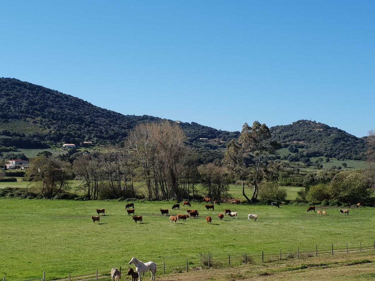 Ferme De Chiuni Villa Cargèse Eksteriør bilde